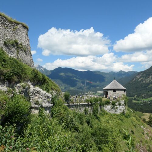 Ehrenberg Castle Panorama